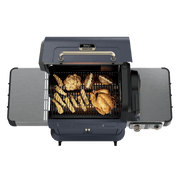 Ninja™ FlexFlame™ Grill and Smoker in Green